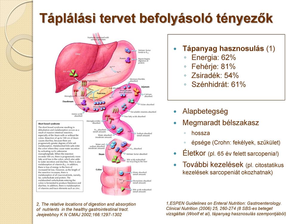 citostatikus kezelések sarcopeniát okozhatnak) 2, The relative locations of digestion and absorption of nutrients in the healthy gastrointestinal tract.