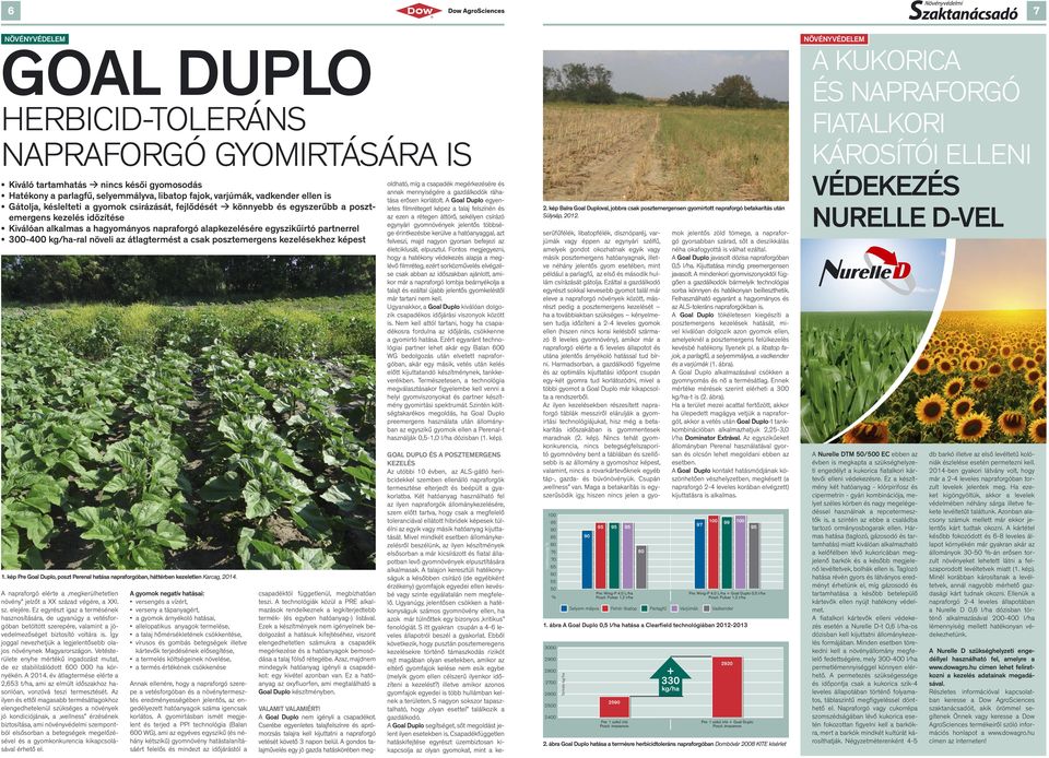 növeli az átlagtermést a csak posztemergens kezelésekhez képest 1. kép Pre Goal Duplo, poszt Perenal hatása napraforgóban, háttérben kezeletlen Karcag, 2014.