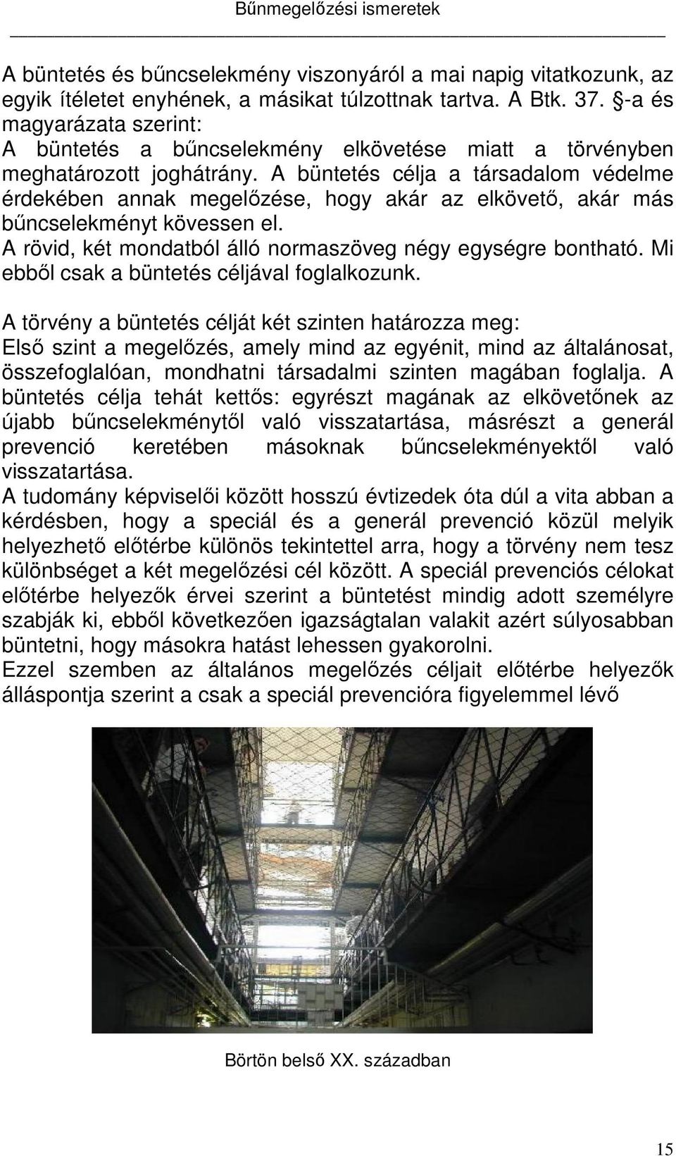 A büntetés célja a társadalom védelme érdekében annak megelőzése, hogy akár az elkövető, akár más bűncselekményt kövessen el. A rövid, két mondatból álló normaszöveg négy egységre bontható.
