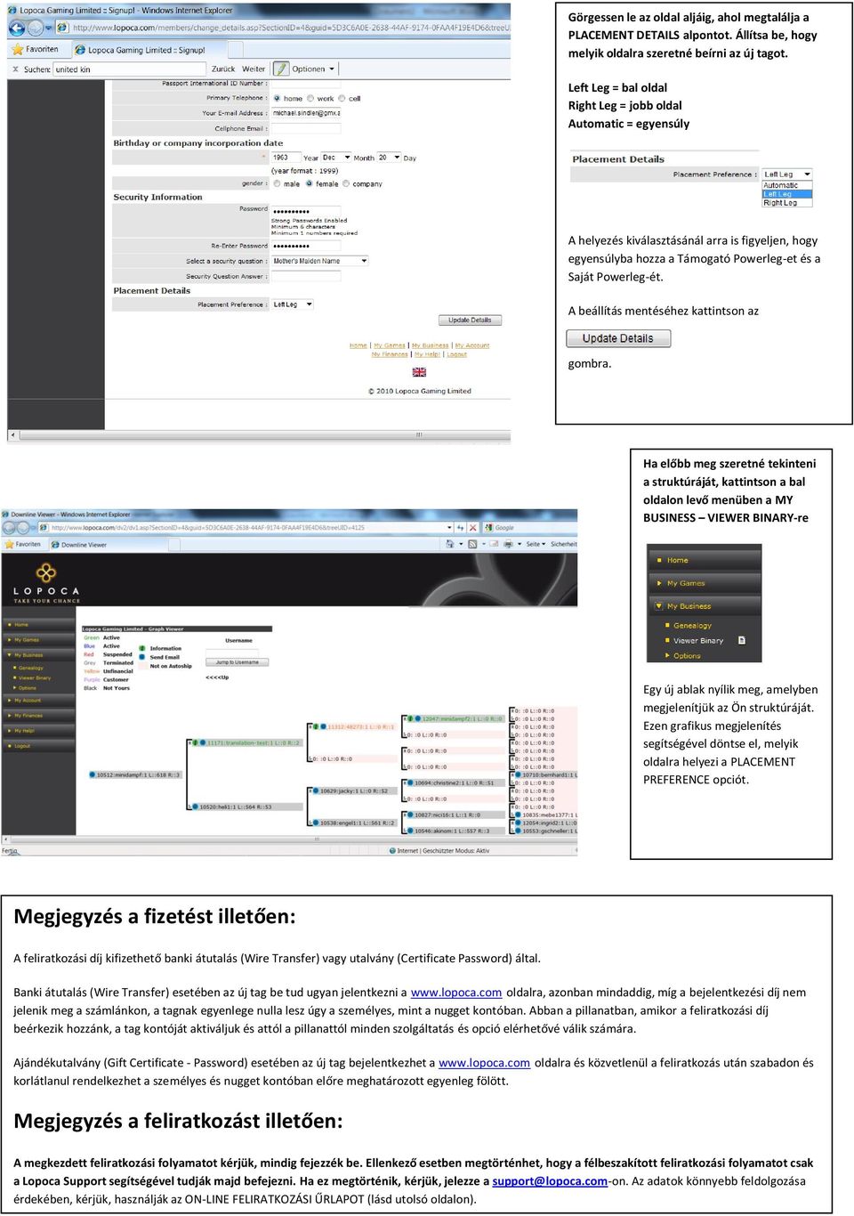 A beállítás mentéséhez kattintson az Ha előbb meg szeretné tekinteni a struktúráját, kattintson a bal oldalon levő menüben a MY BUSINESS VIEWER BINARY-re Egy új ablak nyílik meg, amelyben