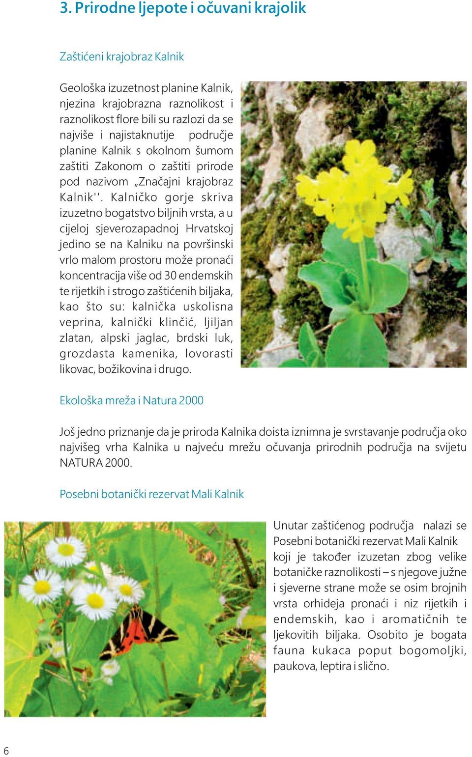 Kalničko gorje skriva izuzetno bogatstvo biljnih vrsta, a u cijeloj sjeverozapadnoj Hrvatskoj jedino se na Kalniku na površinski vrlo malom prostoru može pronaći koncentracija više od 30 endemskih te