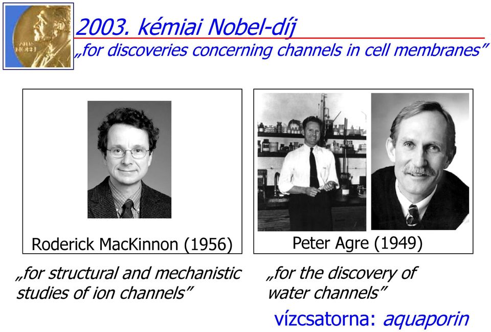 and mechanistic studies of ion channels Peter Agre (1949)