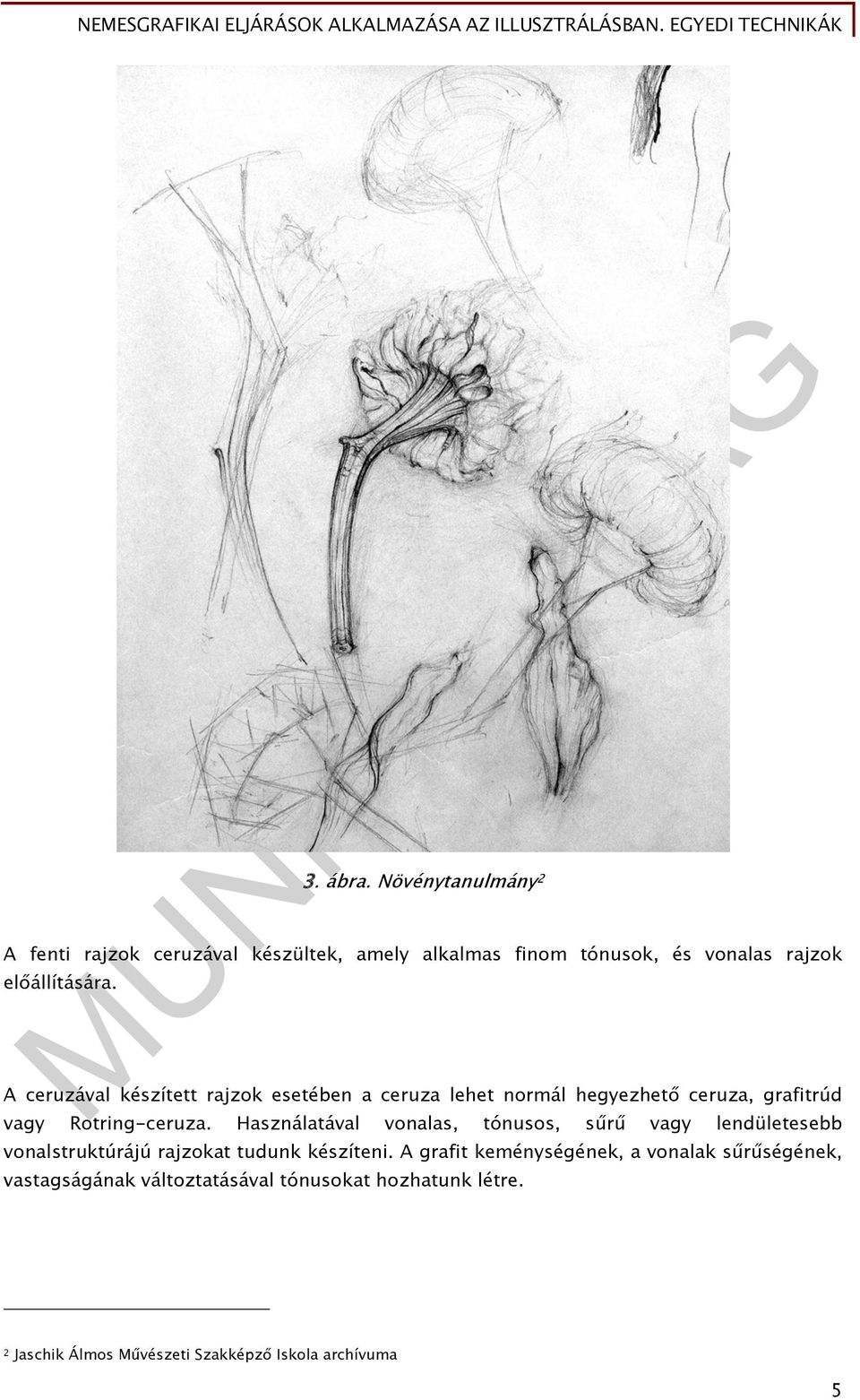 A ceruzával készített rajzok esetében a ceruza lehet normál hegyezhető ceruza, grafitrúd vagy Rotring-ceruza.