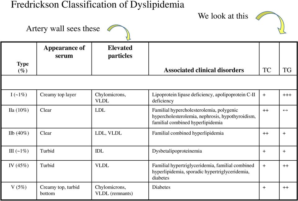 hypothyroidism, familial combined hyperlipidemia + +++ ++ IIb (40%) Clear LDL, VLDL Familial combined hyperlipidemia ++ + III (~1%) Turbid IDL Dysbetalipoproteinemia + + IV (45%) Turbid