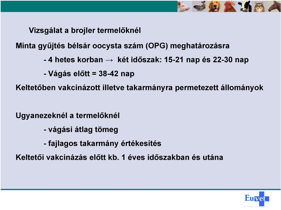 vakcinázott illetve takarmányra permetezett állományok Ugyanezeknél a termelőknél - vágási