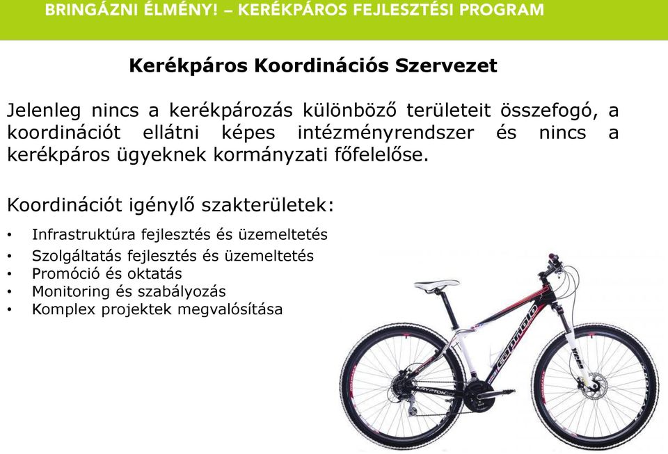 főfelelőse.
