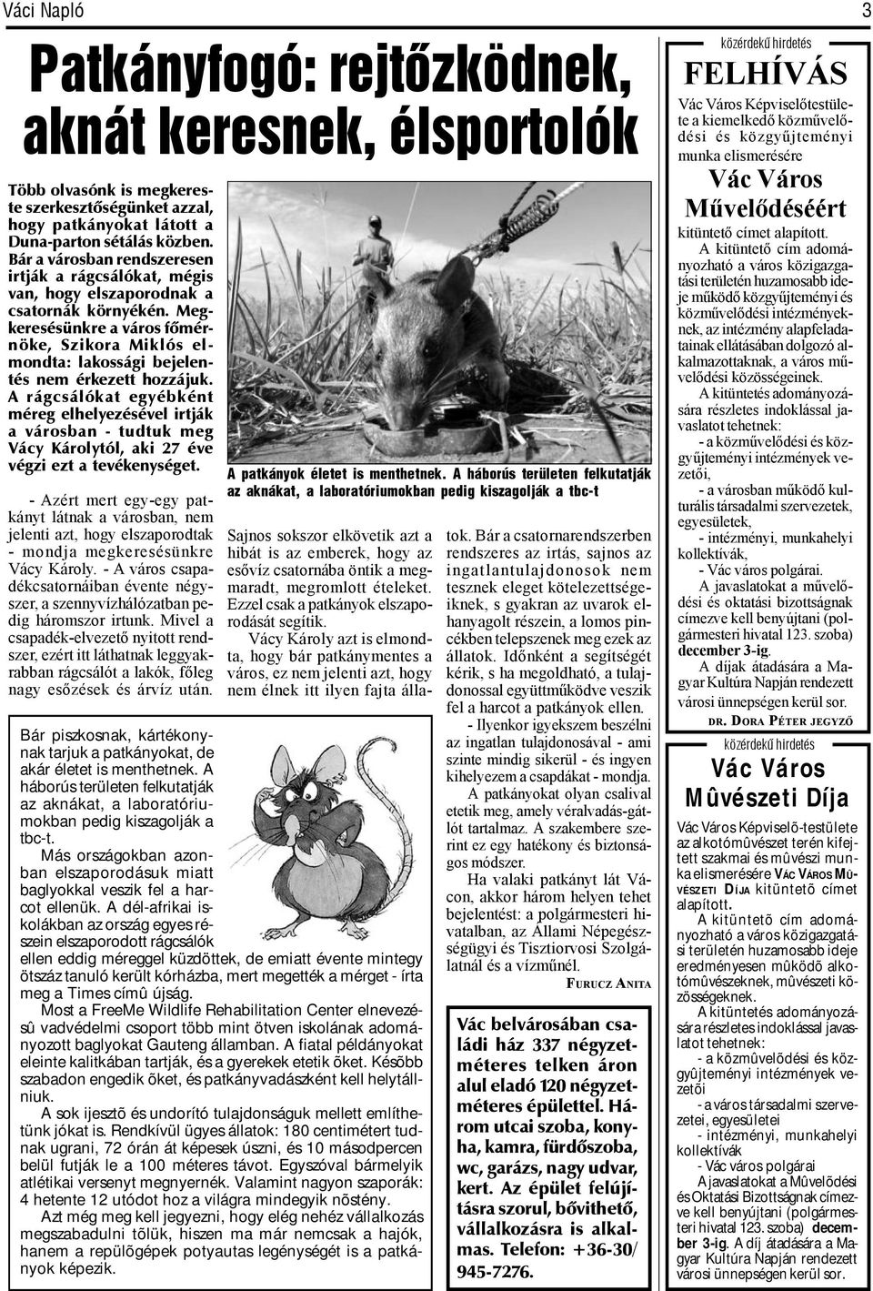 online társkereső körül gauteng