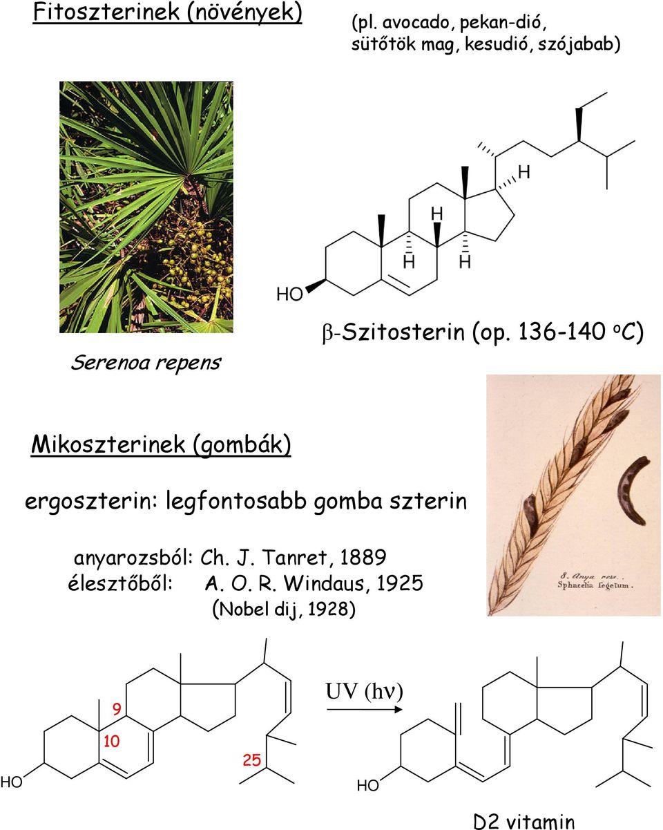 β-szitosterin (op.