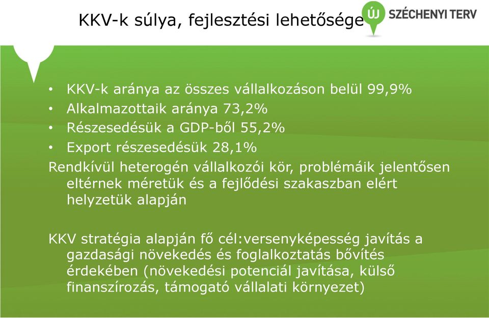 eltérnek méretük és a fejlődési szakaszban elért helyzetük alapján KKV stratégia alapján fő cél:versenyképesség javítás a