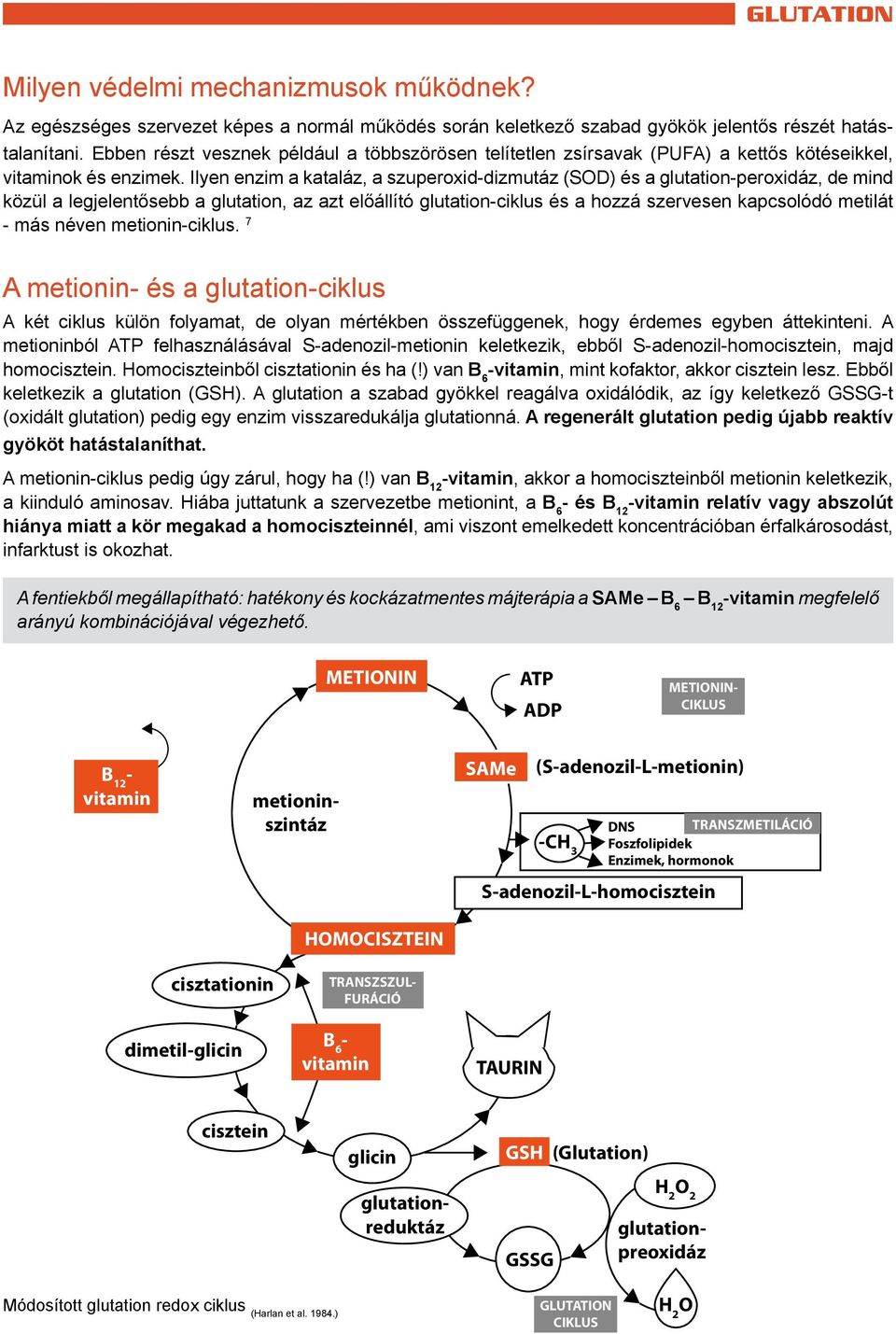 szuperoxid-diszmutáz anti aging