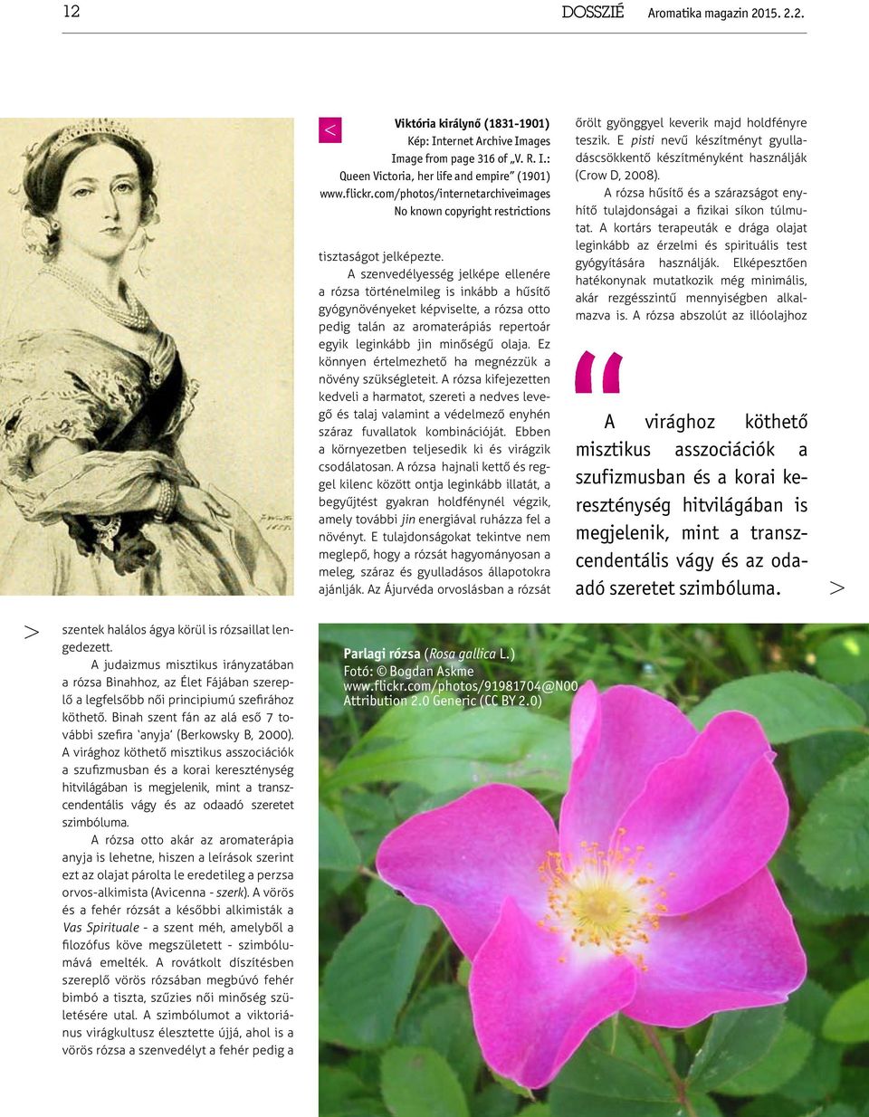 A szenvedélyesség jelképe ellenére a rózsa történelmileg is inkább a hűsítő gyógynövényeket képviselte, a rózsa otto pedig talán az aromaterápiás repertoár egyik leginkább jin minőségű olaja.