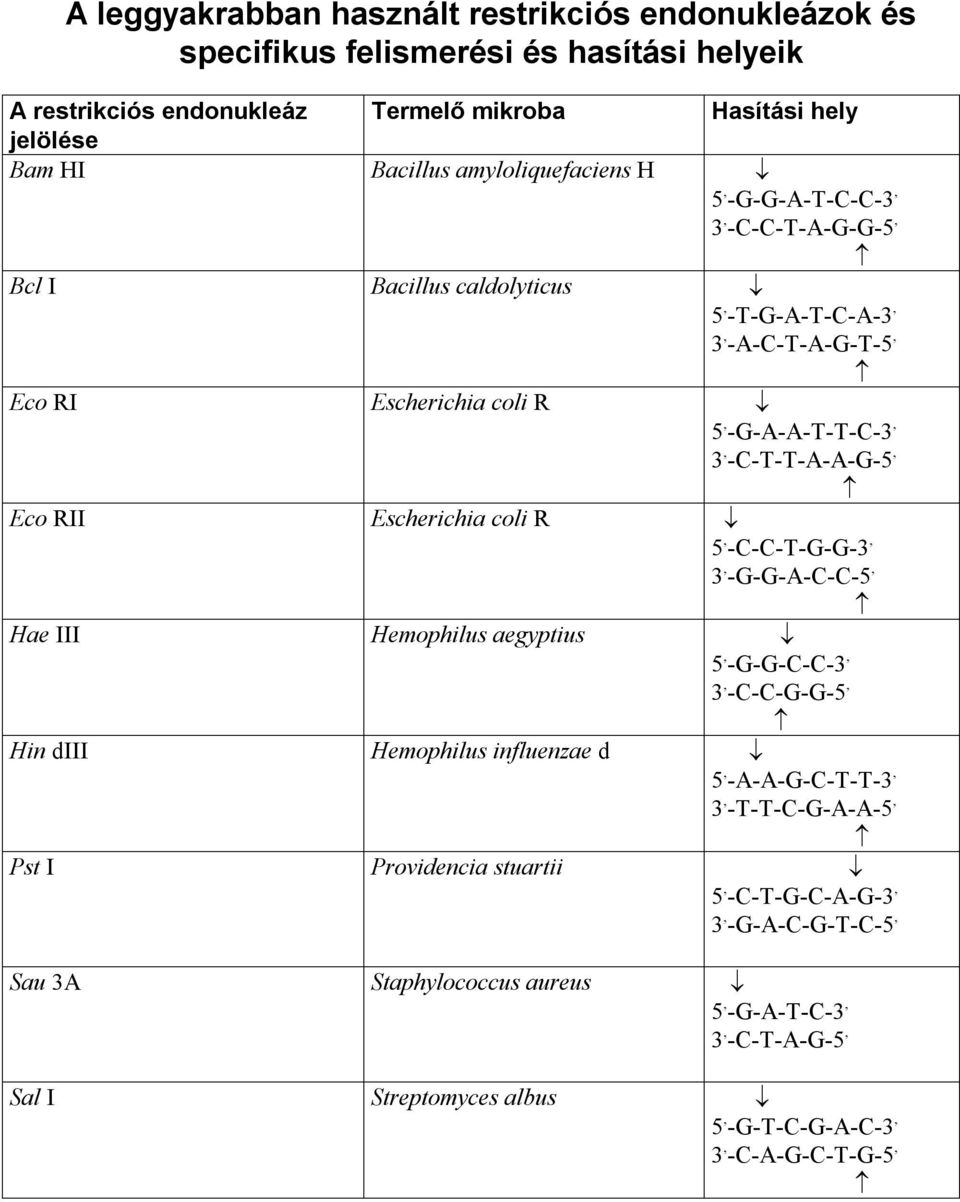 -C-T-T-A-A-G-5, Eco RII Escherichia coli R 5, -C-C-T-G-G-3, 3, -G-G-A-C-C-5, Hae III Hemophilus aegyptius 5, -G-G-C-C-3, 3, -C-C-G-G-5, Hin diii Hemophilus influenzae d 5,