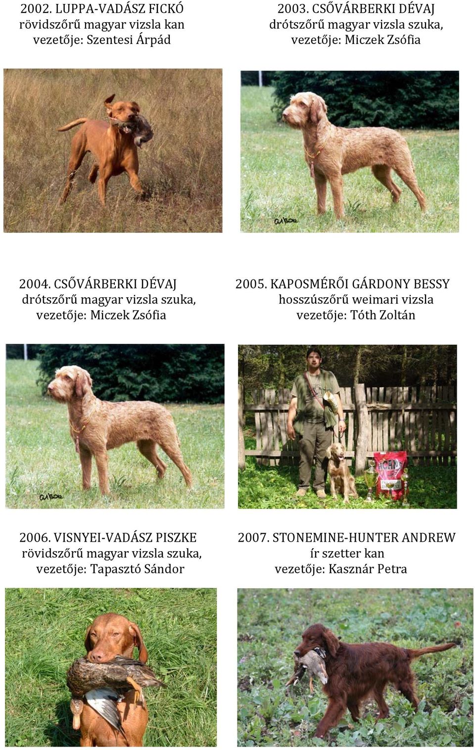 CSŐVÁRBERKI DÉVAJ drótszőrű magyar vizsla szuka, vezetője: Miczek Zsófia 2005.