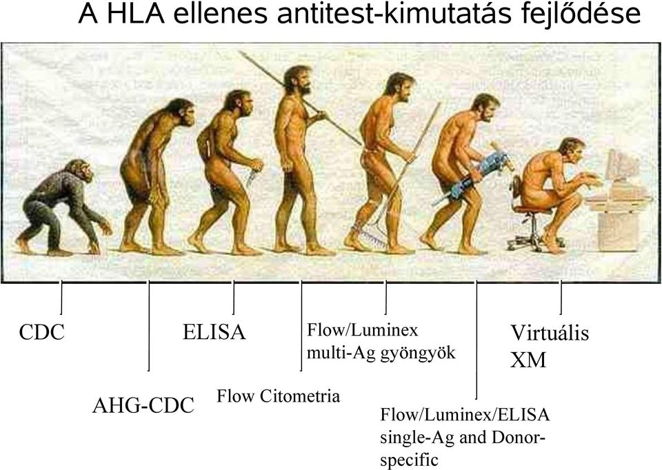 gyöngyök AHG-CDC Flow Citometria