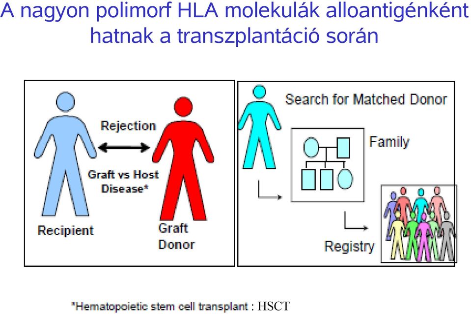 alloantigénként