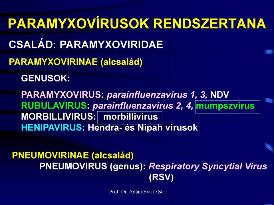 parainfluenzavírus 2, 4, mumpszvírus MORBILLIVIRUS: morbillivírus HENIPAVIRUS: