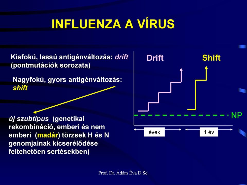 shift új szubtípus (genetikai rekombináció, emberi és nem emberi