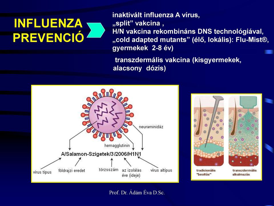 cold adapted mutants (élő, lokális): Flu-Mist, gyermekek