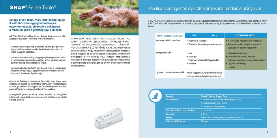 A FIV-vel, FeLV-vel és szívférgességgel fertőzött macskák egyszerre többféle tünetet mutatnak. Az is megszokott azonban, hogy a fertőzött macskák tünetmentesek.