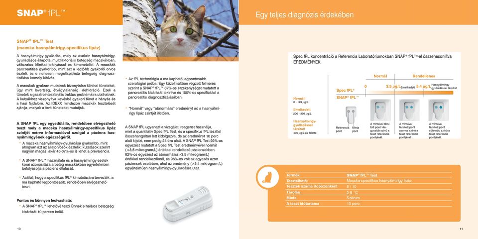 A macskák pancreatitise gyakoribb, mint azt a legtöbb gyakorló orvos észleli, és e nehezen megállapítható betegség diagnosztizálása komoly kihívás.