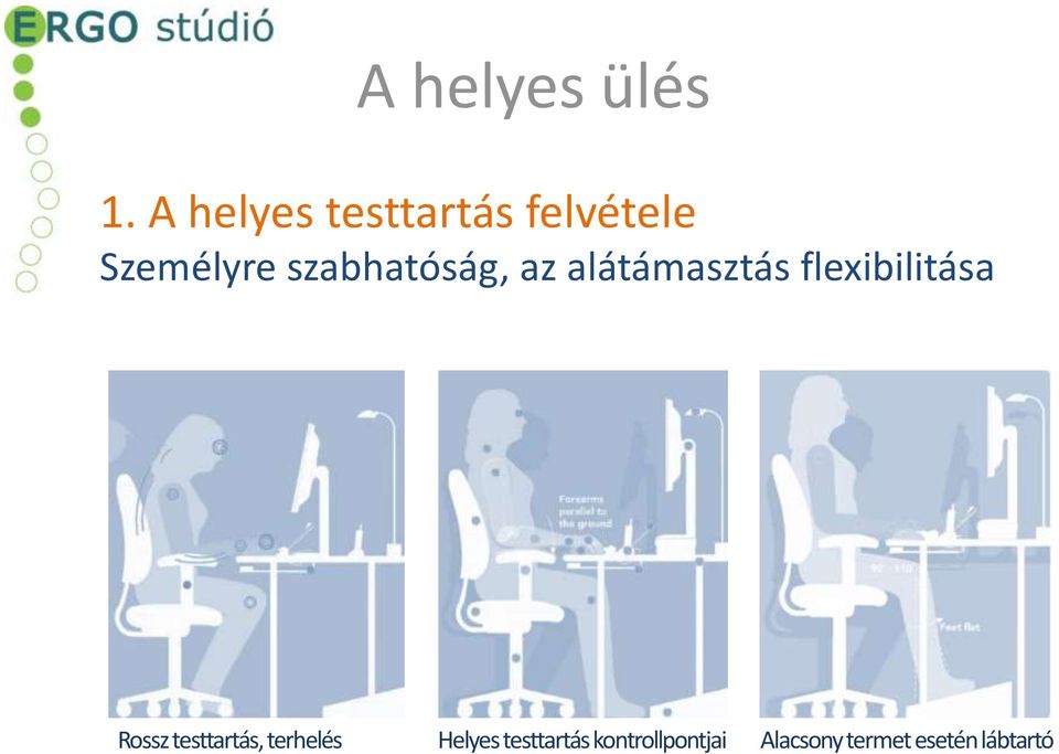 szabhatóság, az alátámasztás flexibilitása