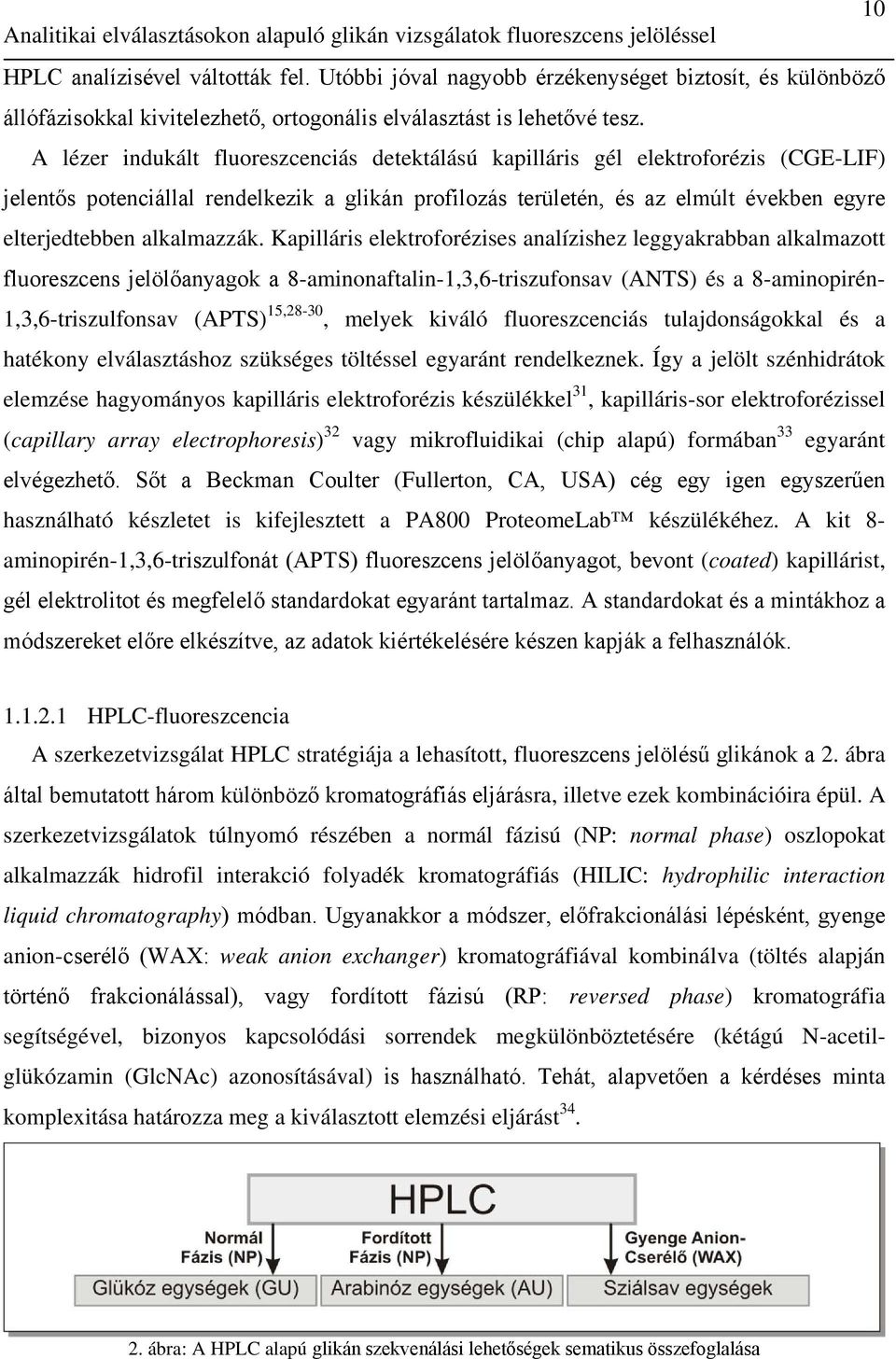 A lézer indukált fluoreszcenciás detektálású kapilláris gél elektroforézis (CGE-LIF) jelentős potenciállal rendelkezik a glikán profilozás területén, és az elmúlt években egyre elterjedtebben