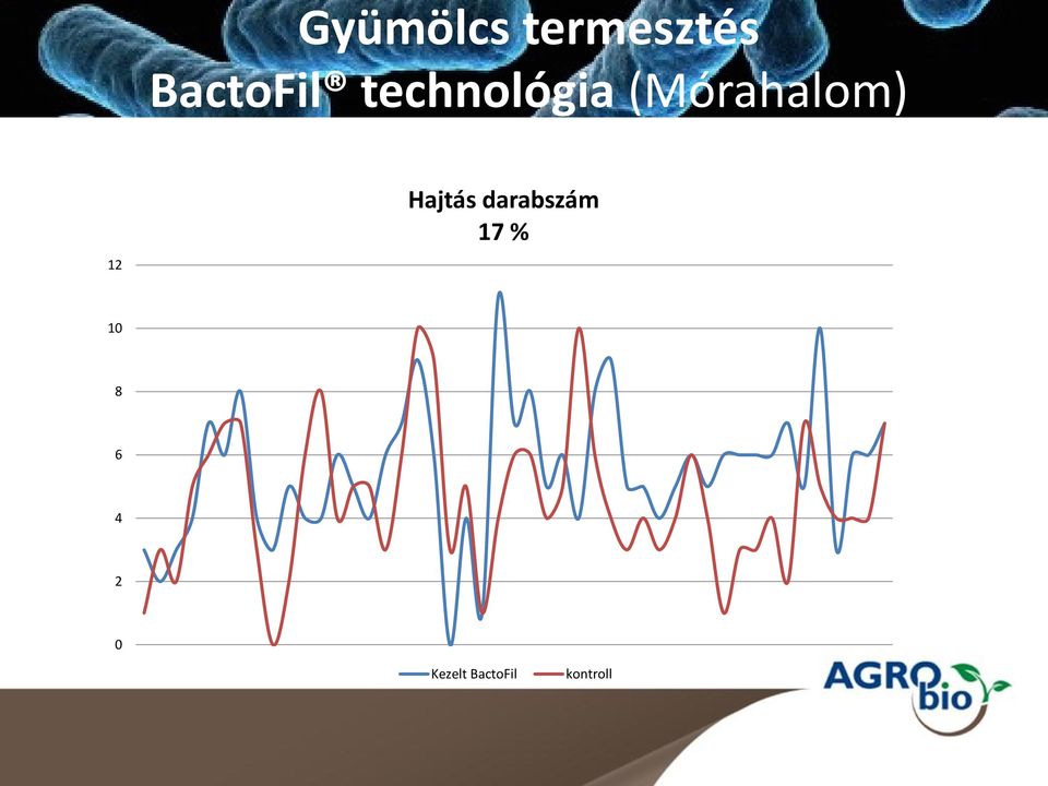 Hajtás darabszám 17 % 10 8 6