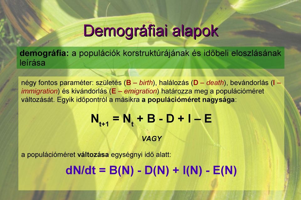 emigration) határozza meg a populációméret változását.