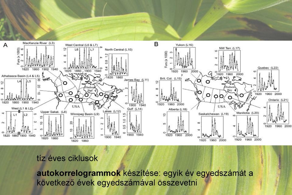 készítése: egyik év