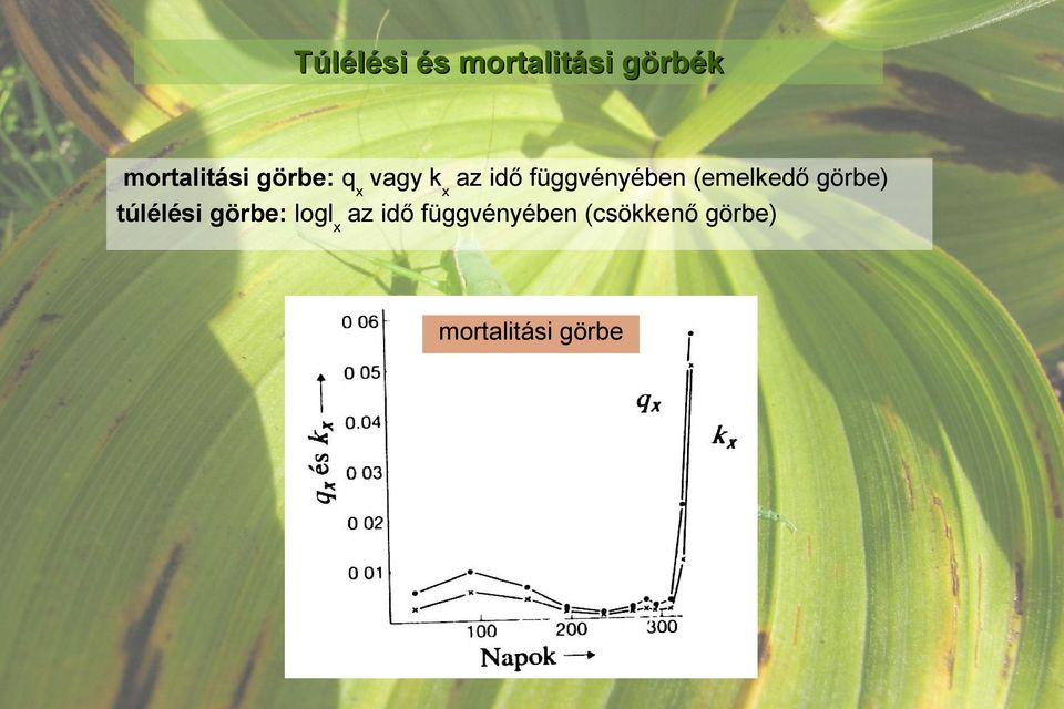 (emelkedő görbe) túlélési görbe: loglx az