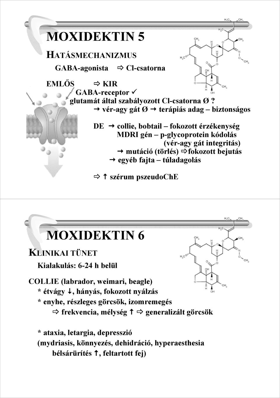 EKTOPARAZITIKUMOK EKTOPARAZITIKUMOK - PDF Free Download