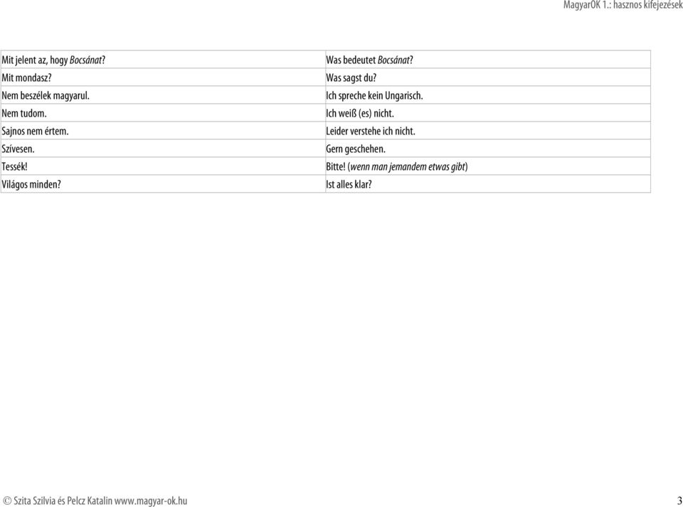 Ich spreche kein Ungarisch. Ich weiß (es) nicht. Leider verstehe ich nicht. Gern geschehen.