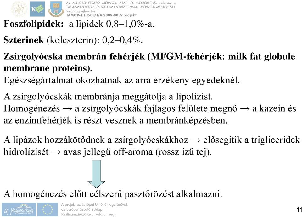 A zsírgolyócskák membránja meggátolja a lipolízist.