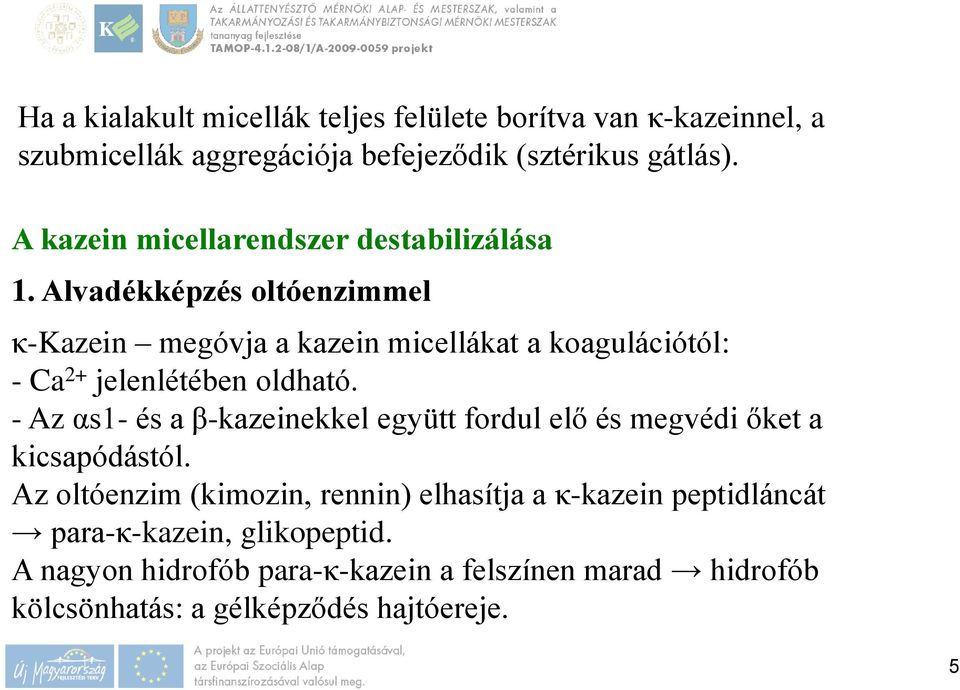 Alvadékképzés oltóenzimmel κ-kazein megóvja a kazein micellákat a koagulációtól: - Ca 2+ jelenlétében oldható.