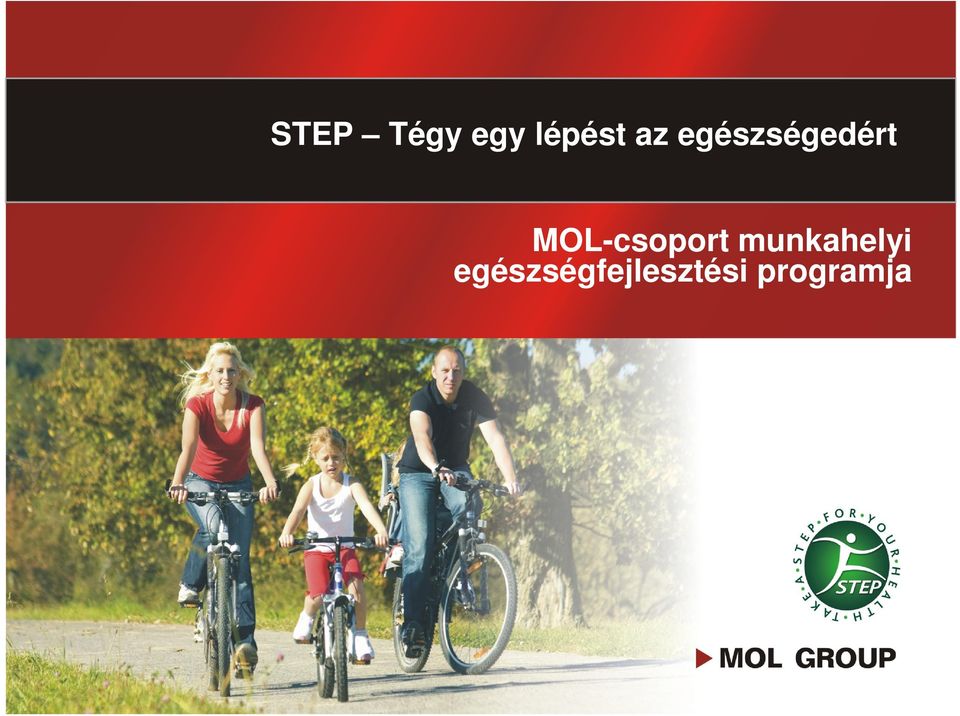 MOL-csoport munkahelyi