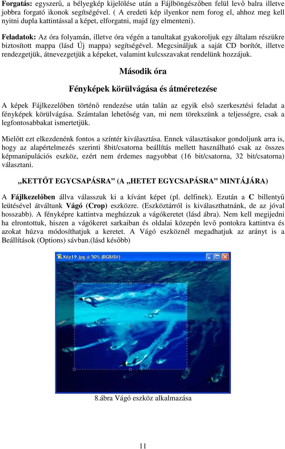 Feladatok: Az óra folyamán, illetve óra végén a tanultakat gyakoroljuk egy általam részükre biztosított mappa (lásd Új mappa) segítségével.
