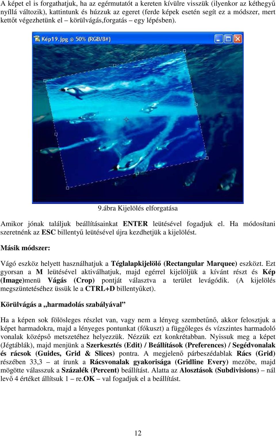 Ha módosítani szeretnénk az ESC billentyő leütésével újra kezdhetjük a kijelölést. Másik módszer: Vágó eszköz helyett használhatjuk a Téglalapkijelölı (Rectangular Marquee) eszközt.