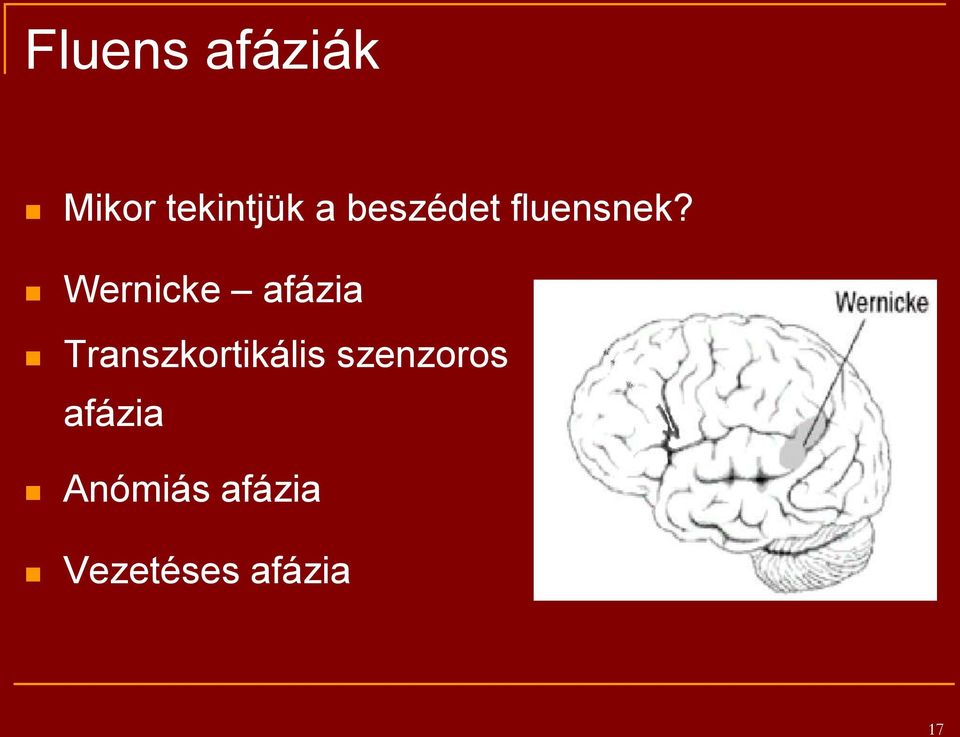 Wernicke afázia Transzkortikális