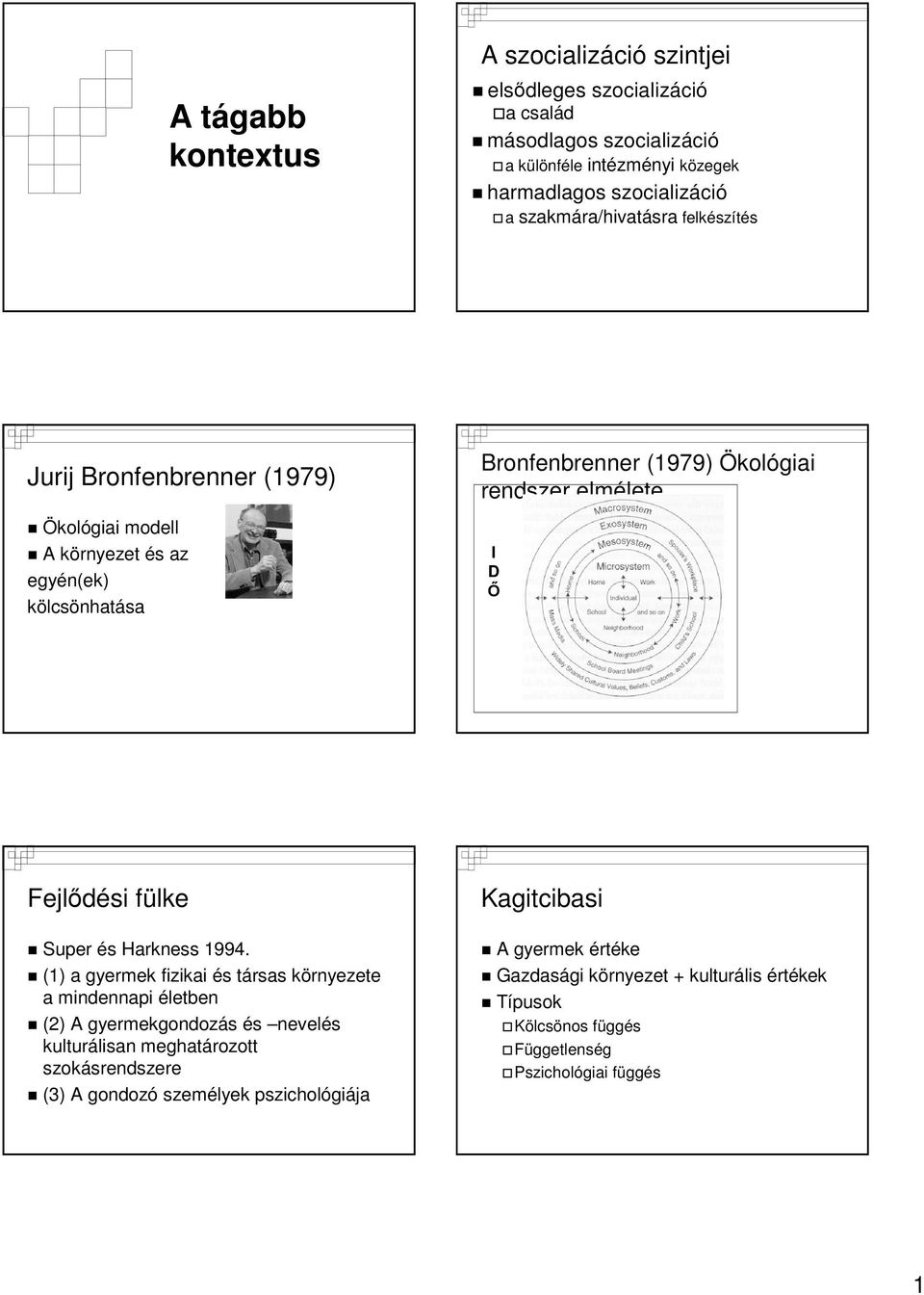 Ő Fejlődési fülke Super és Harkness 1994.