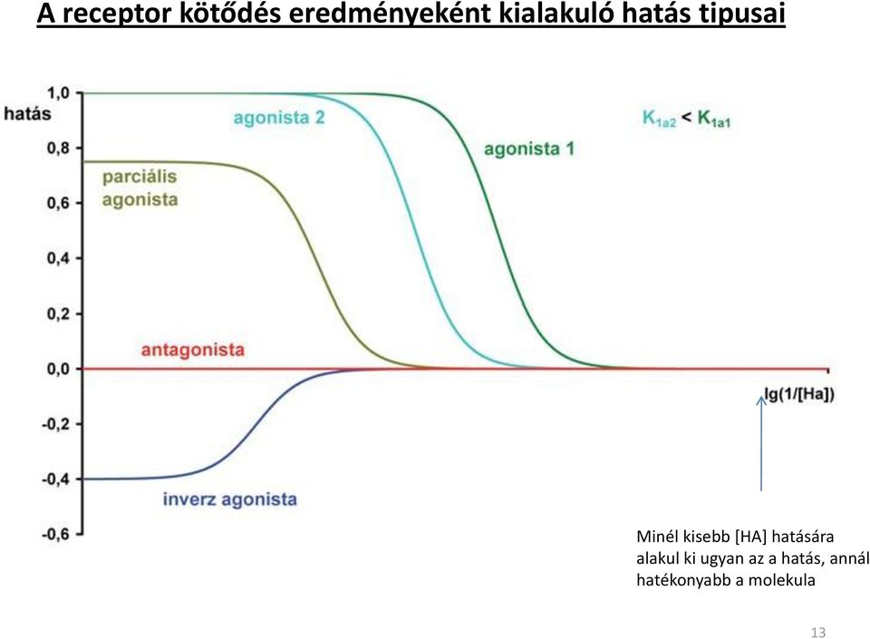 kisebb *HA+ hatására alakul ki