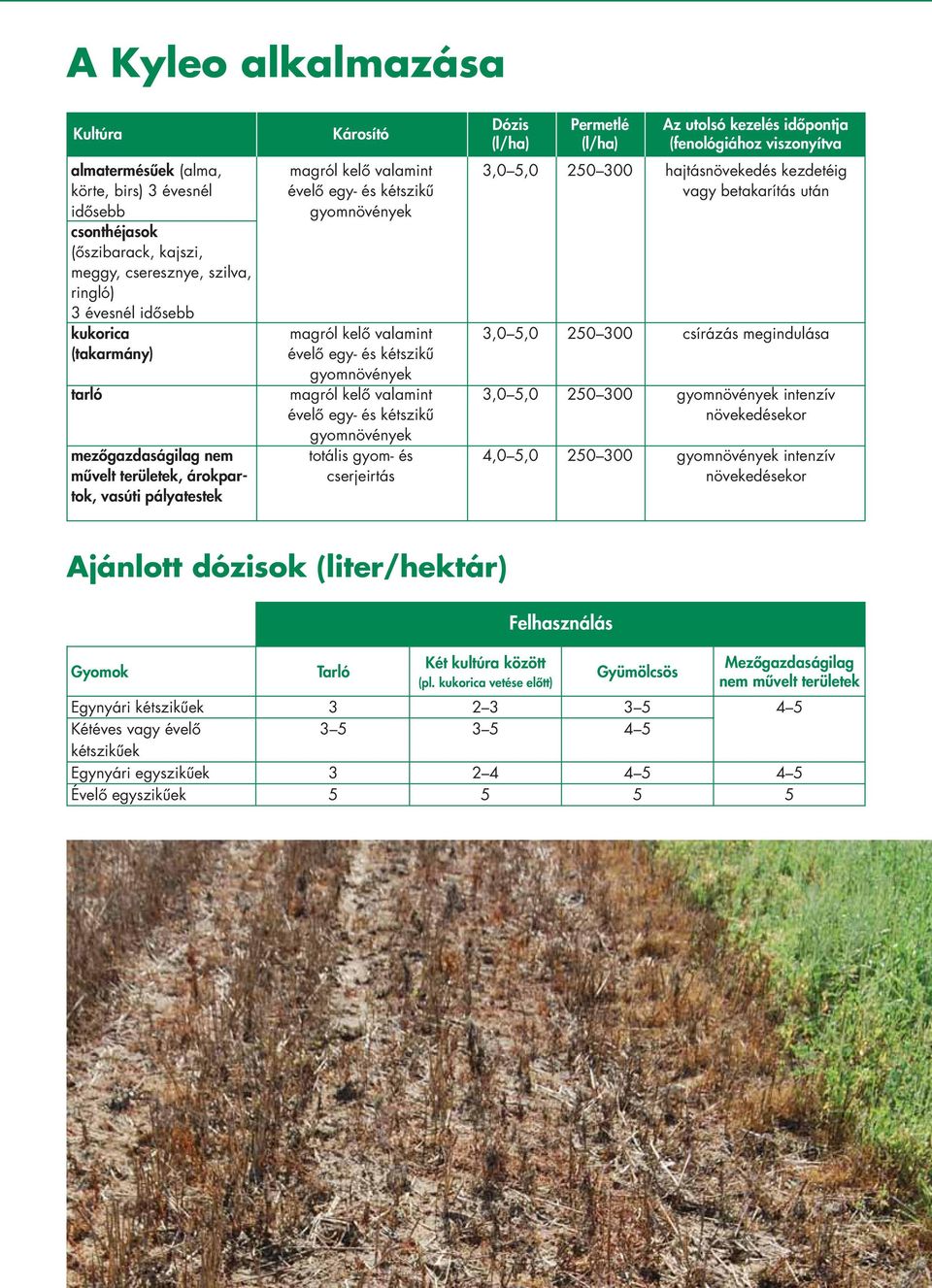 kétszikû gyomnövények magról kelô valamint évelô egy- és kétszikû gyomnövények magról kelô valamint évelô egy- és kétszikû gyomnövények totális gyom- és cserjeirtás 3,0 5,0 3,0 5,0 3,0 5,0 4,0 5,0