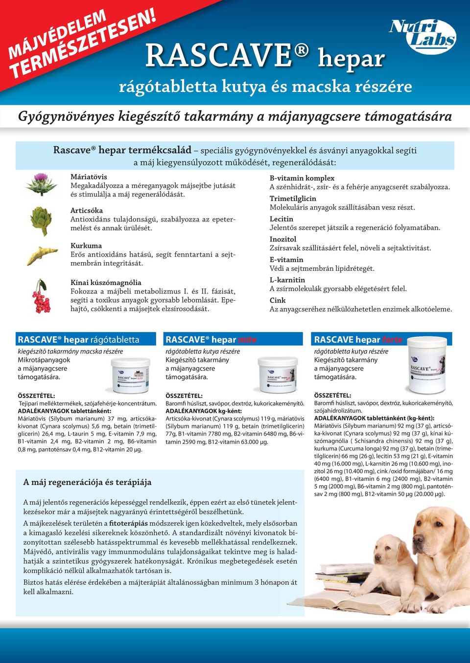 a cynara scolymus karcsúsító konjugáció a cynara scolymus karcsúsító konjugáció