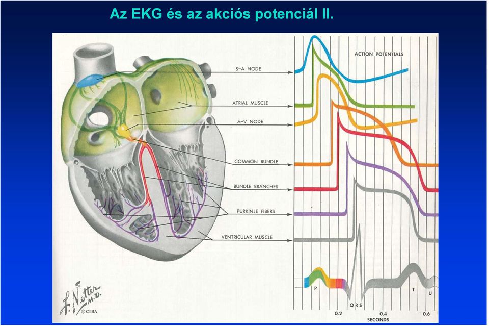 potenciál