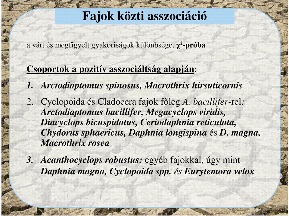 bacillifer-rel: Arctodiaptomus bacillifer, Megacyclops viridis, Diacyclops bicuspidatus, Ceriodaphnia reticulata, Chydorus