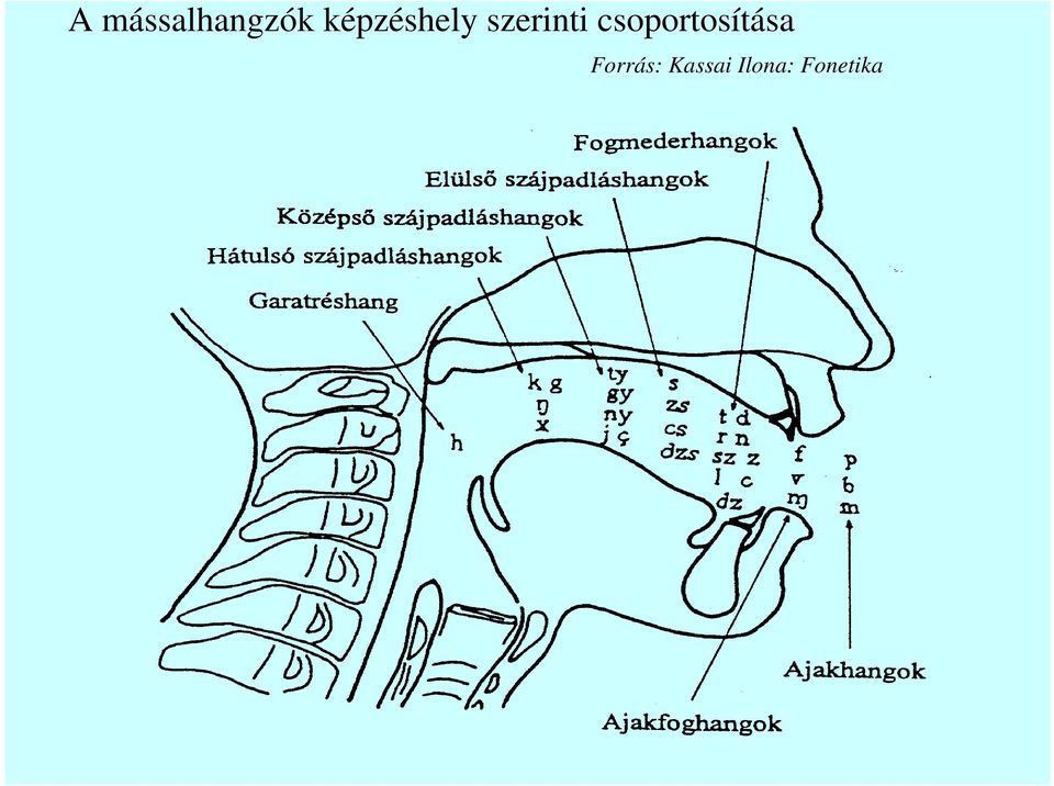 csoportosítása