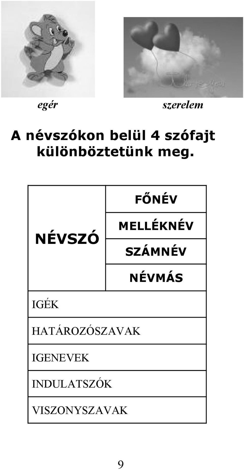 FŐNÉV NÉVSZÓ MELLÉKNÉV SZÁMNÉV NÉVMÁS