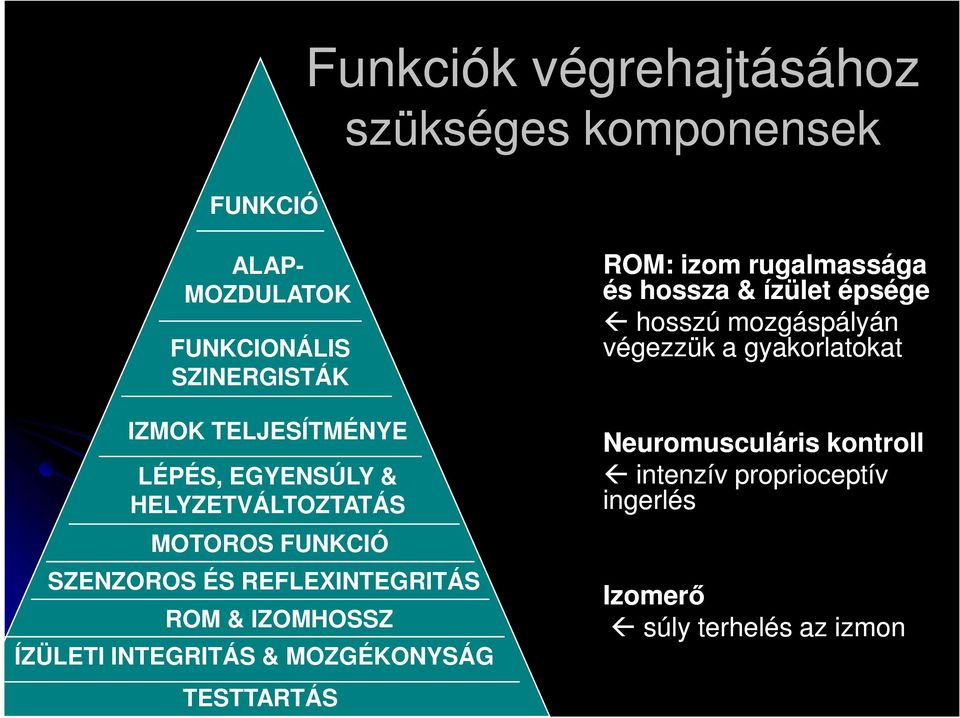 IZOMHOSSZ ÍZÜLETI INTEGRITÁS & MOZGÉKONYSÁG TESTTARTÁS ROM: izom rugalmassága és hossza & ízület épsége hosszú