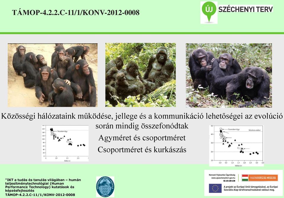 lehetőségei az evolúció során mindig összefonódtak Agyméret és csoportméret Csoportméret