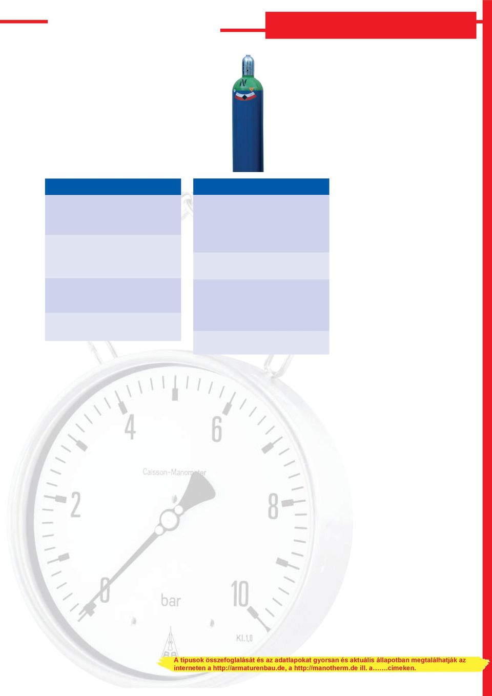 Unsere Standardausführung ist in NG 160, Anzeigebereiche 0-0,6 bis 0-16 bar, lieferbar. Weitere Einzelheiten finden Sie in Datenblatt 1800.