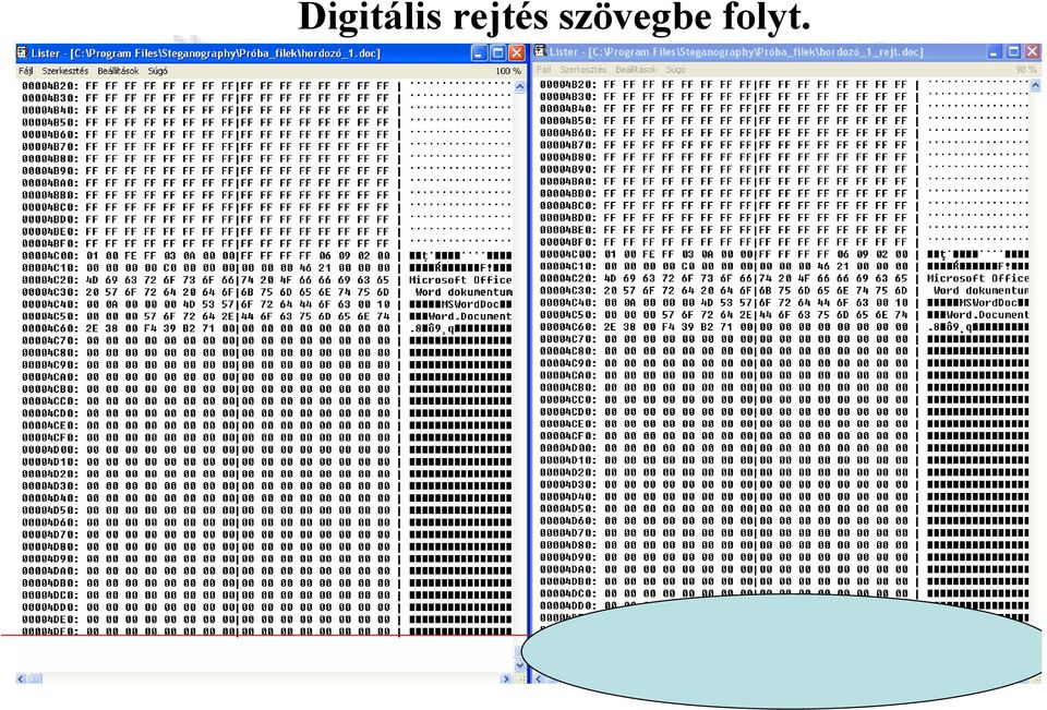 szövegbe